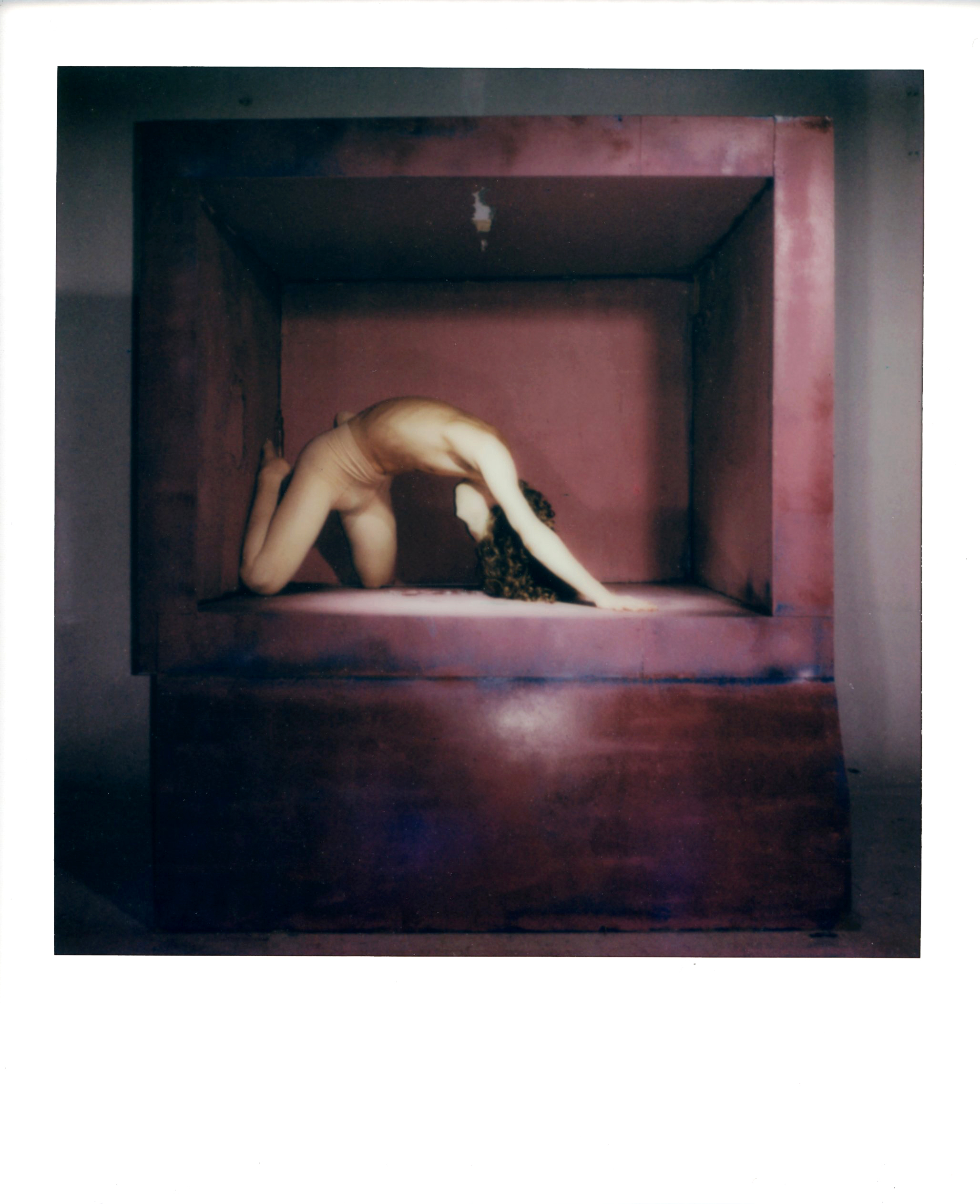 Tender Violence — III